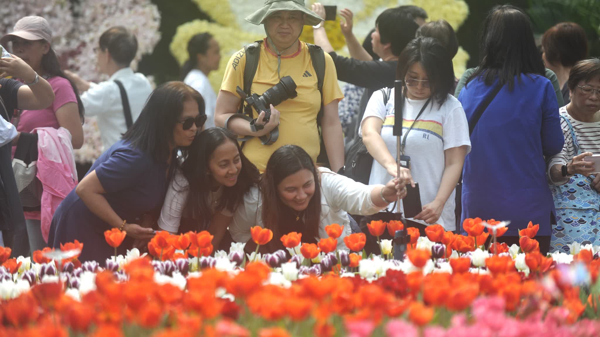 Victoria Park Flower Show to end tomorrow night: 3,500 potted plants to be given away