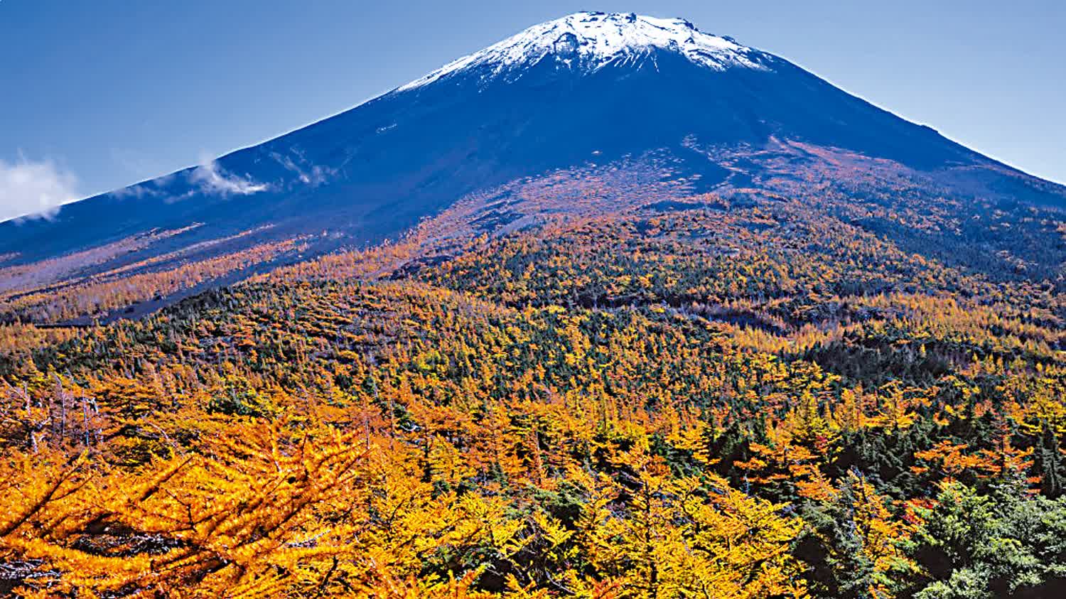 Japan unveils first-ever contingency plan for large-scale ashfall from Mount Fuji eruption