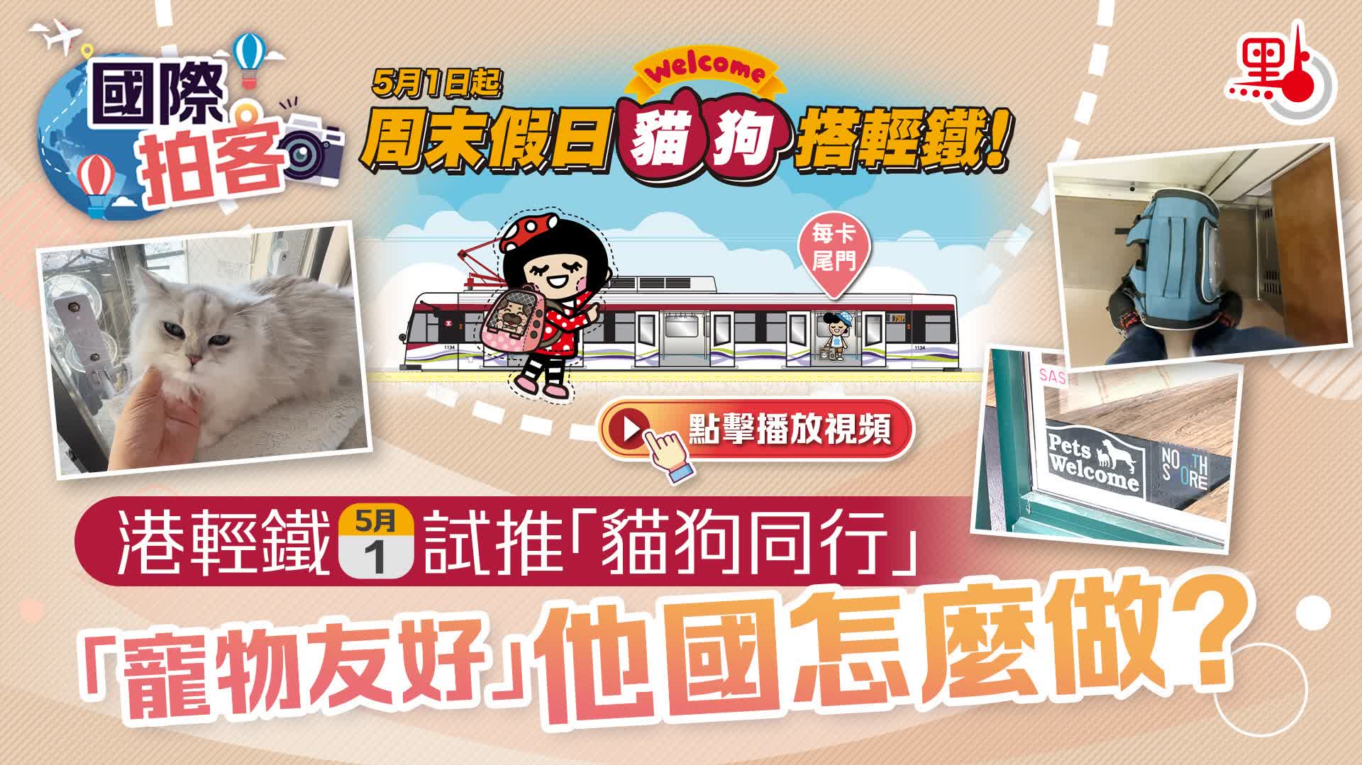 國際拍客｜港輕鐵5·1試推「貓狗同行」　「寵物友好」他國怎麼做？