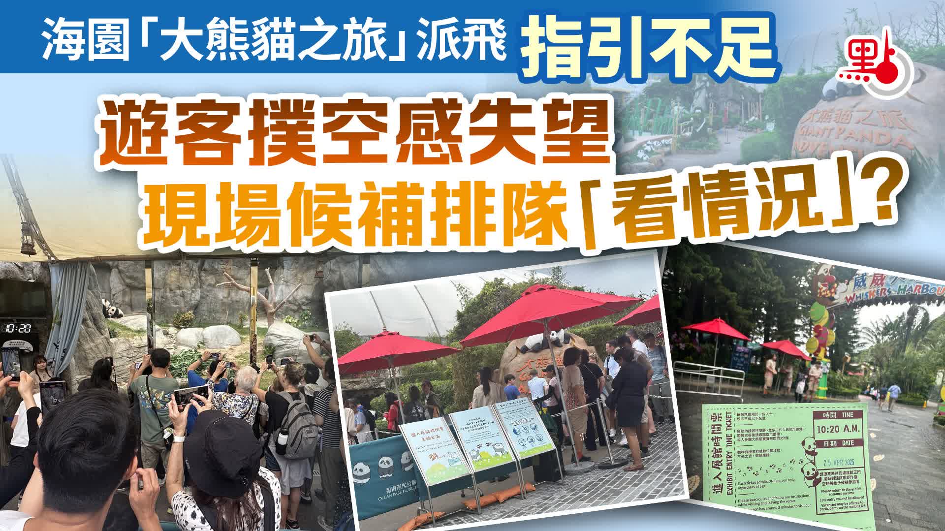海園「大熊貓之旅」派飛指引不足　遊客撲空感失望　現場候補排隊「看情況」？