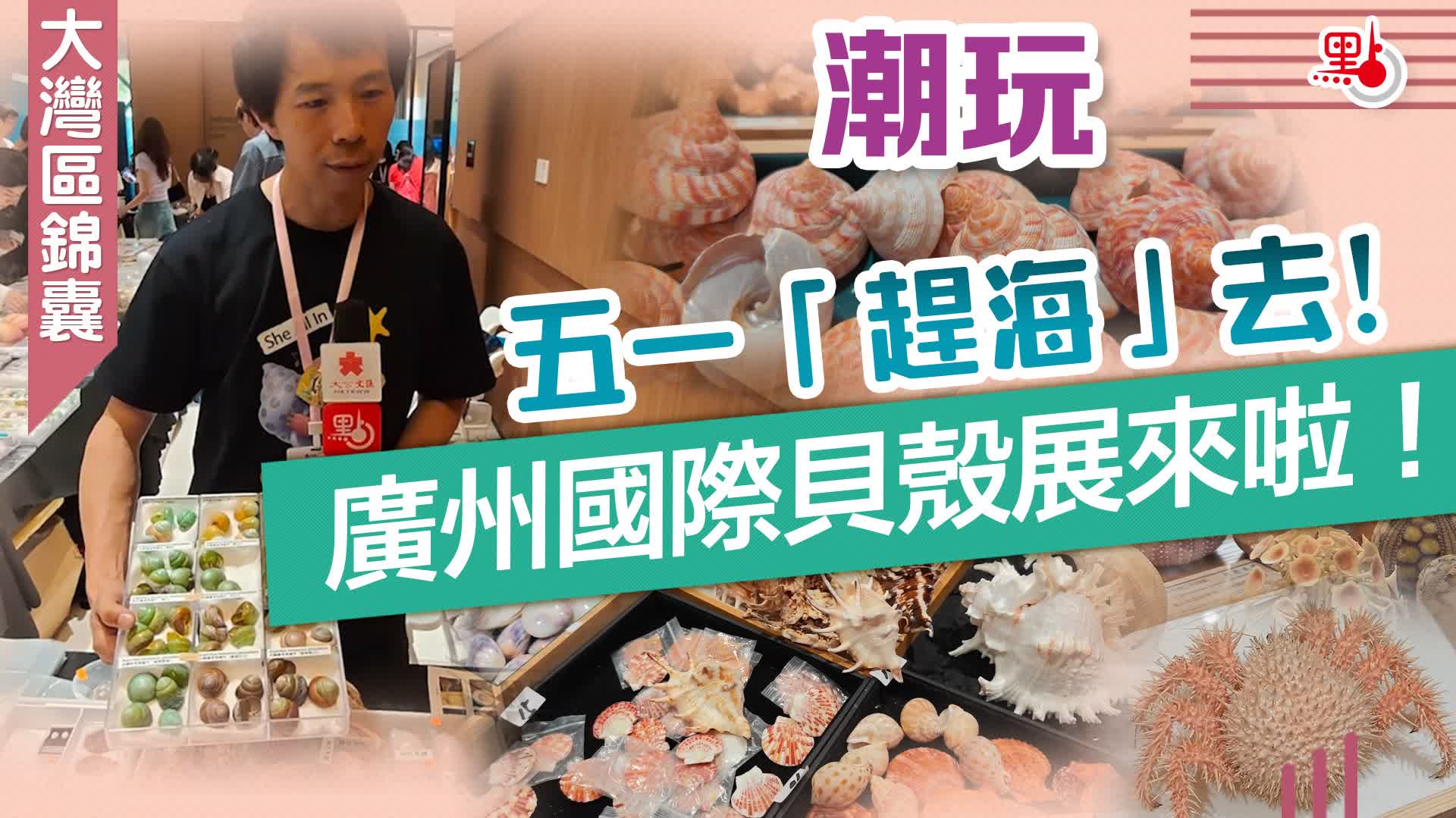 大灣區錦囊·潮玩｜五一「趕海」去　廣州國際貝殼展來啦！