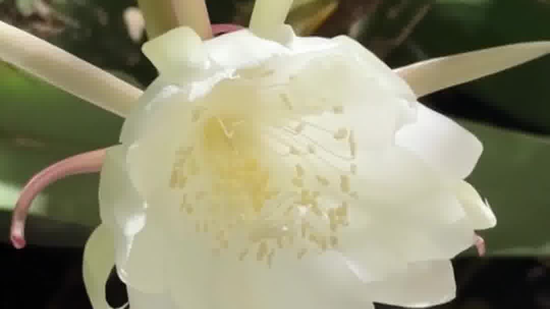 OMG | A flash in the pan: Reminder of life's fragility & splendor