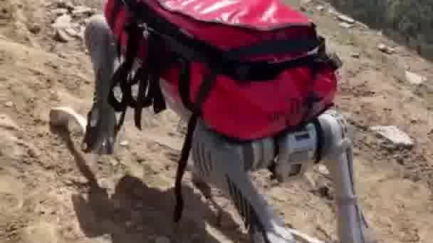 Watch This | China's robot dog helps hikers at high altitudes