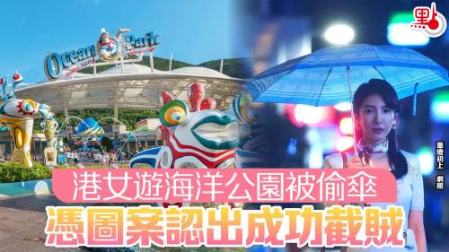 港女遊海洋公園被偷傘　憑圖案認出成功截賊