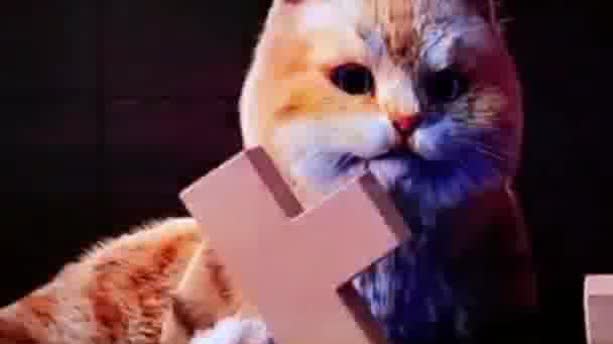 Watch This | Naked-eye 3D displays: Next-gen LED tech redefines screens in Shenzhen