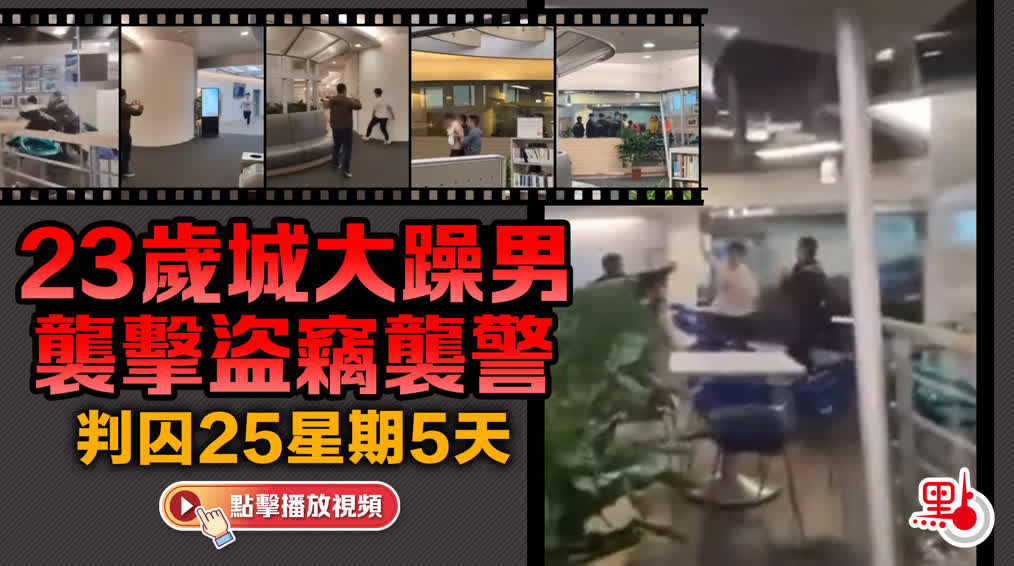 （有片）23歲城大躁男襲擊盜竊襲警　判囚25星期5天