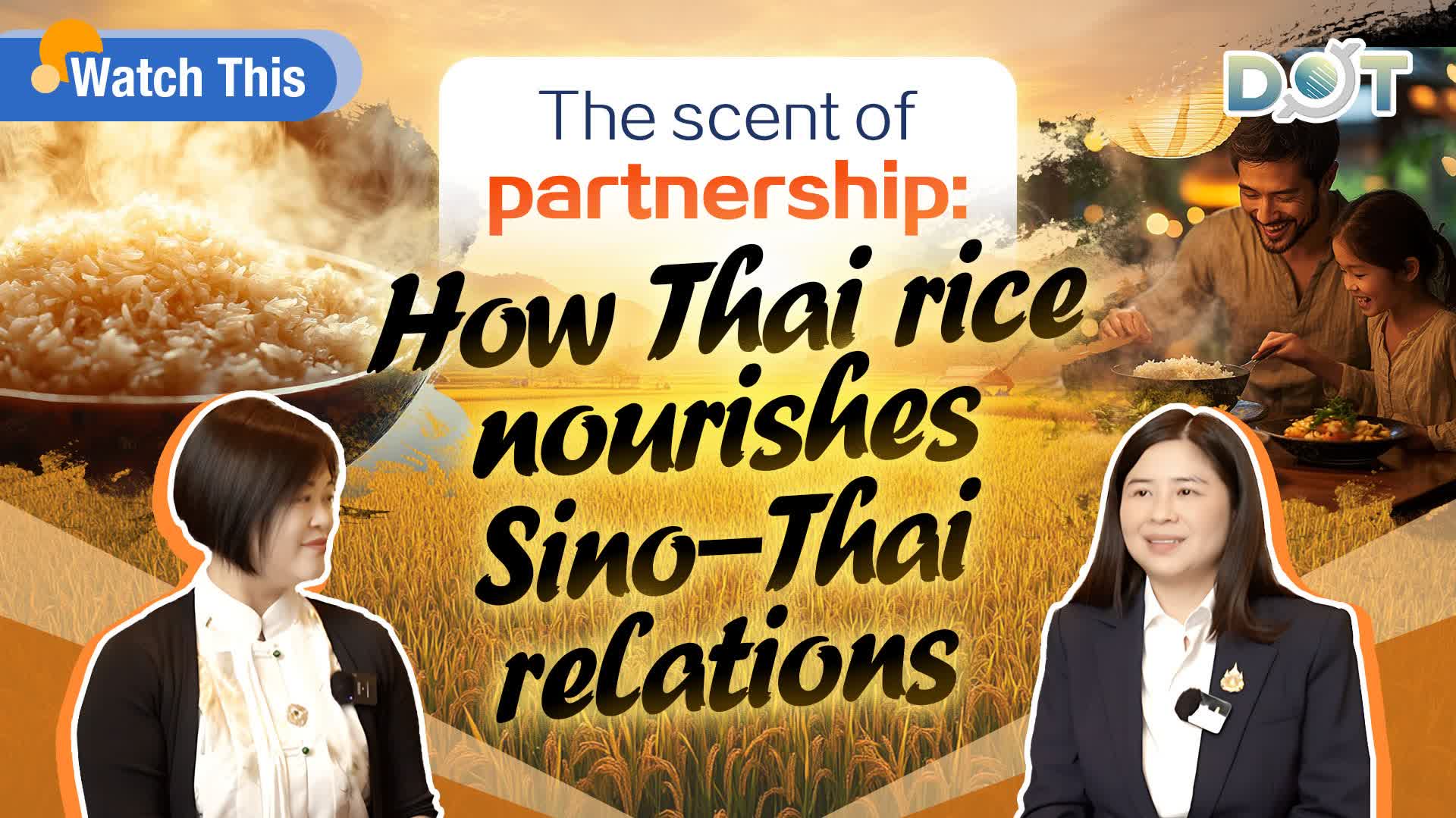 Watch This | The scent of partnership: How Thai rice nourishes Sino-Thai relations