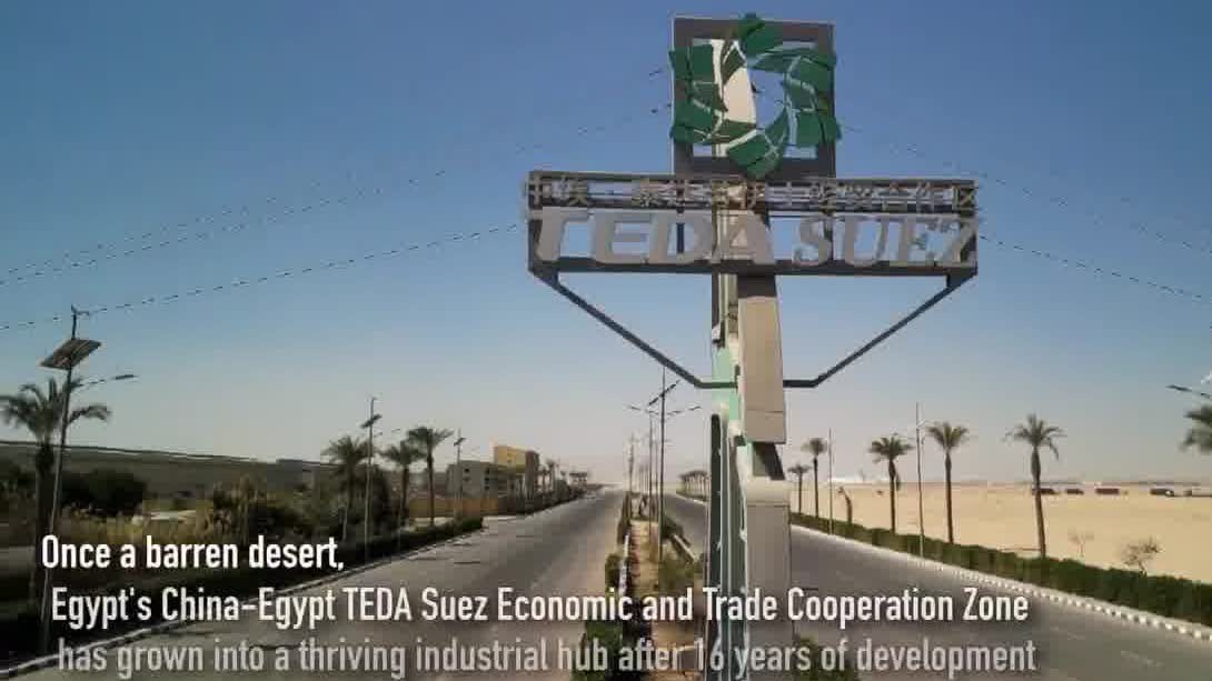 Watch This | China-Egypt partnership turns desert into thriving industrial hub