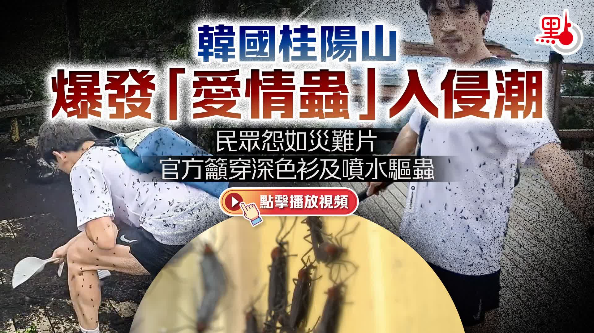 （有片）韓國桂陽山爆發「愛情蟲」入侵潮　民眾怨如災難片　官方籲穿深色衫及噴水驅蟲