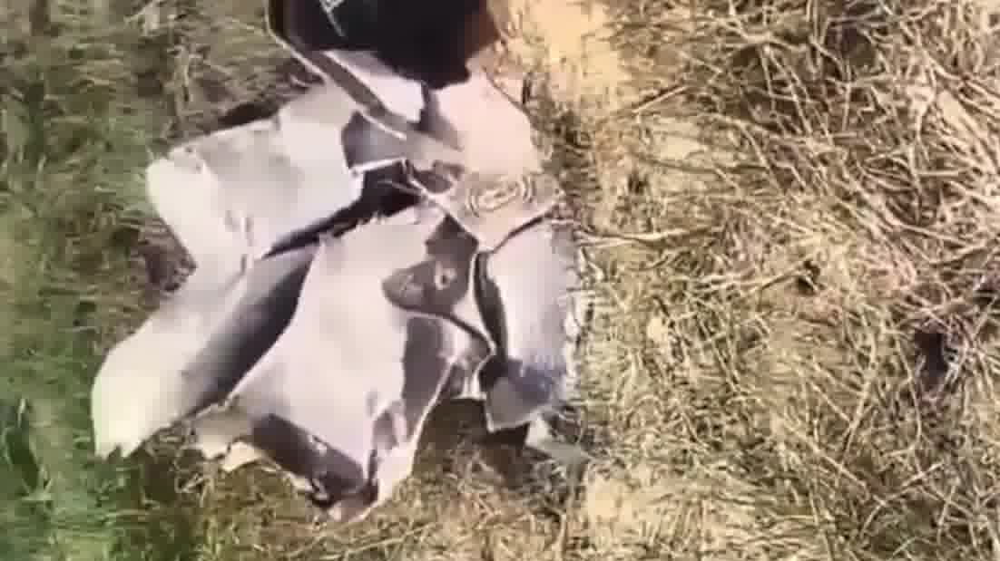 （有片）3個月內第2次！印度空軍戰機墜毀致2死