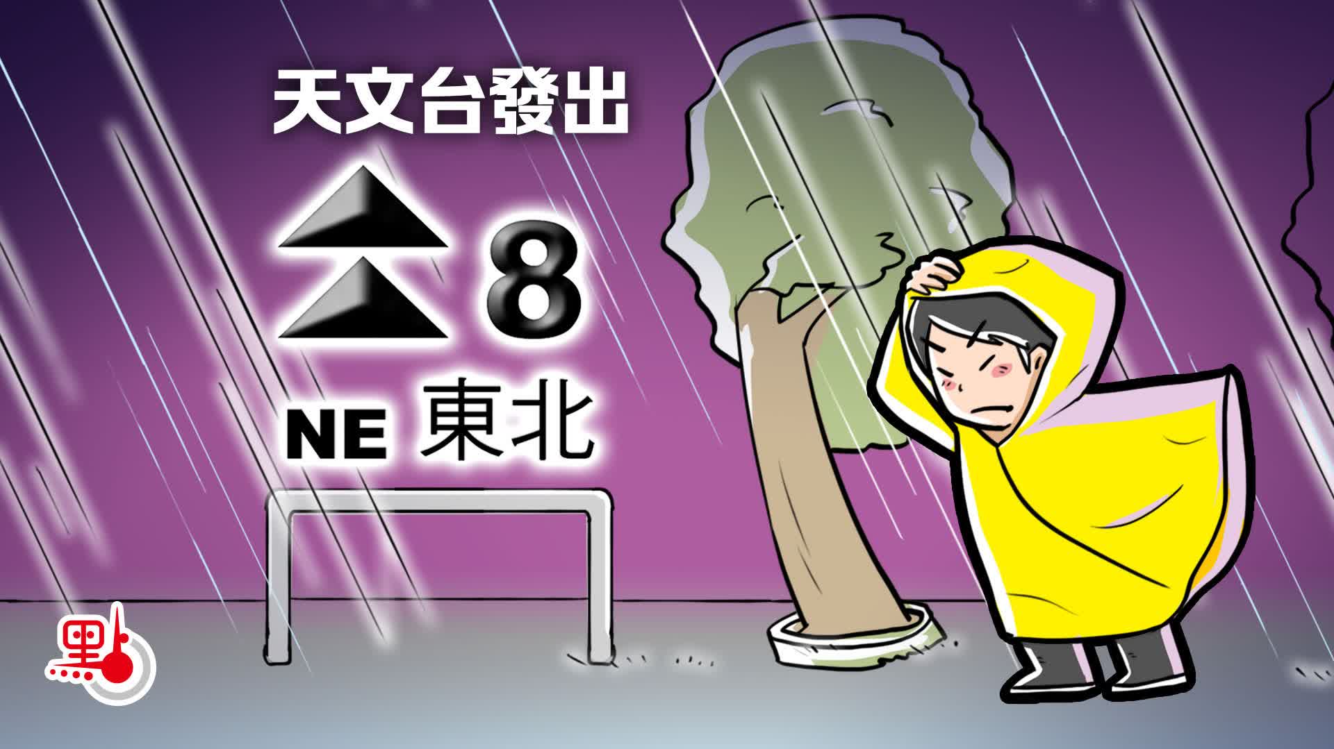 （不斷更新）8號風球生效　日間大部分時間維持