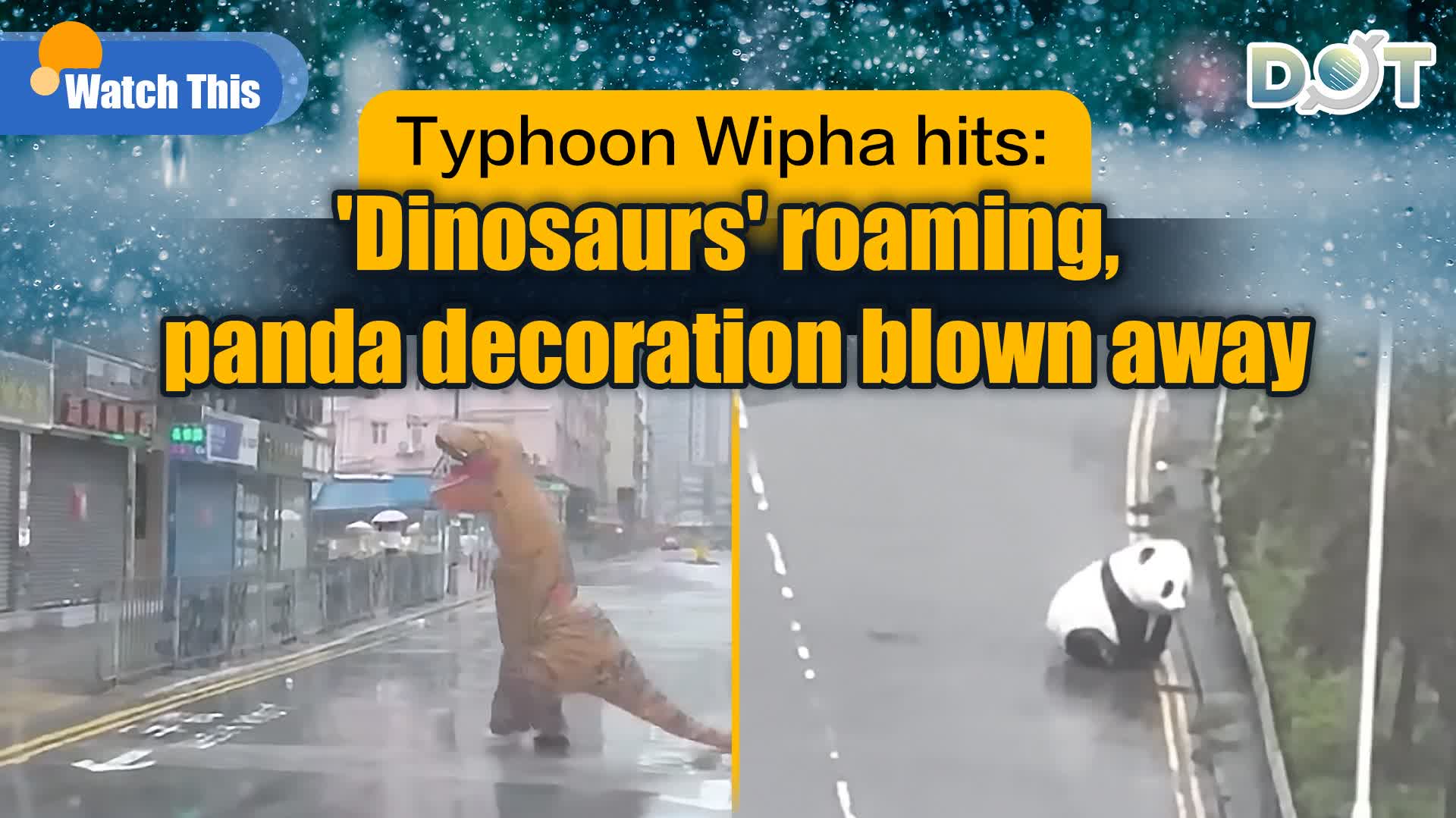 Watch This | Typhoon Wipha hits: 'Dinosaurs' roaming, panda decoration blown away