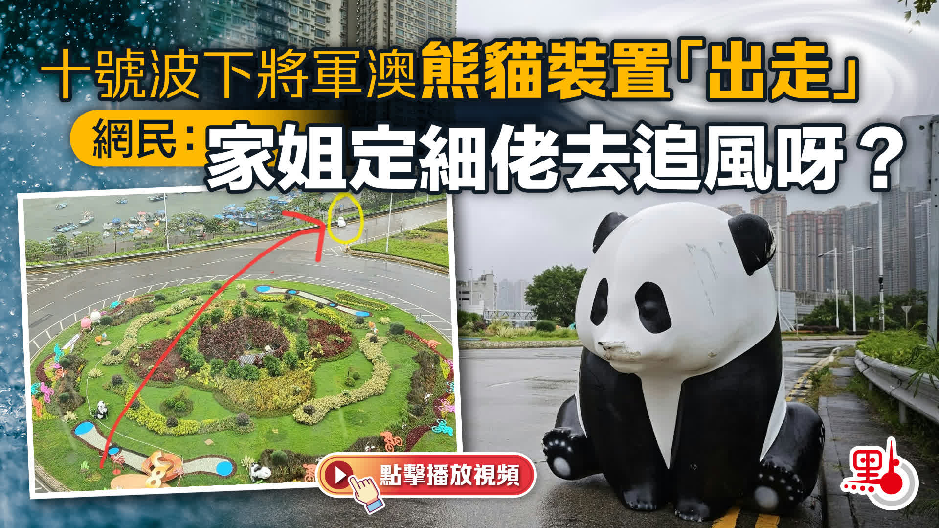 （有片）十號波下將軍澳熊貓裝置「出走」　網民：家姐定細佬去追風呀？