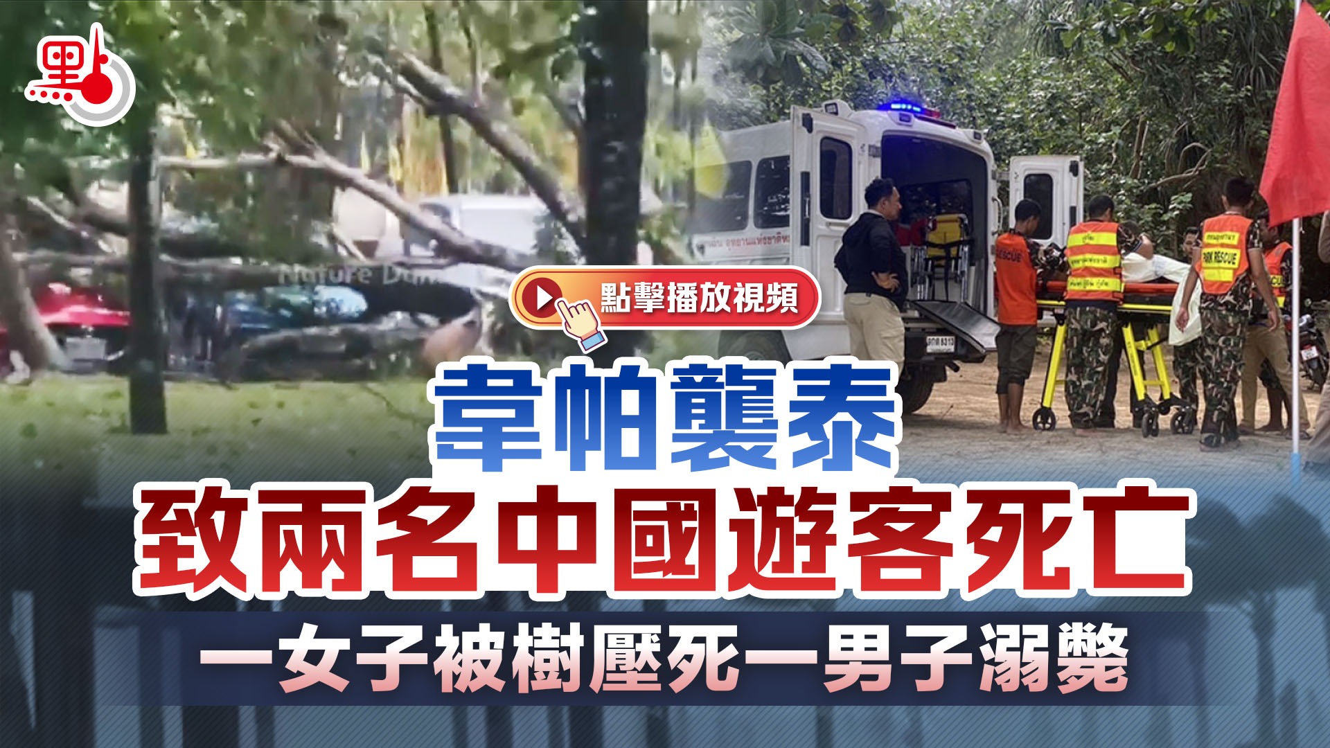 （有片）韋帕襲泰致兩名中國遊客死亡　一女子被樹壓死一男子溺斃