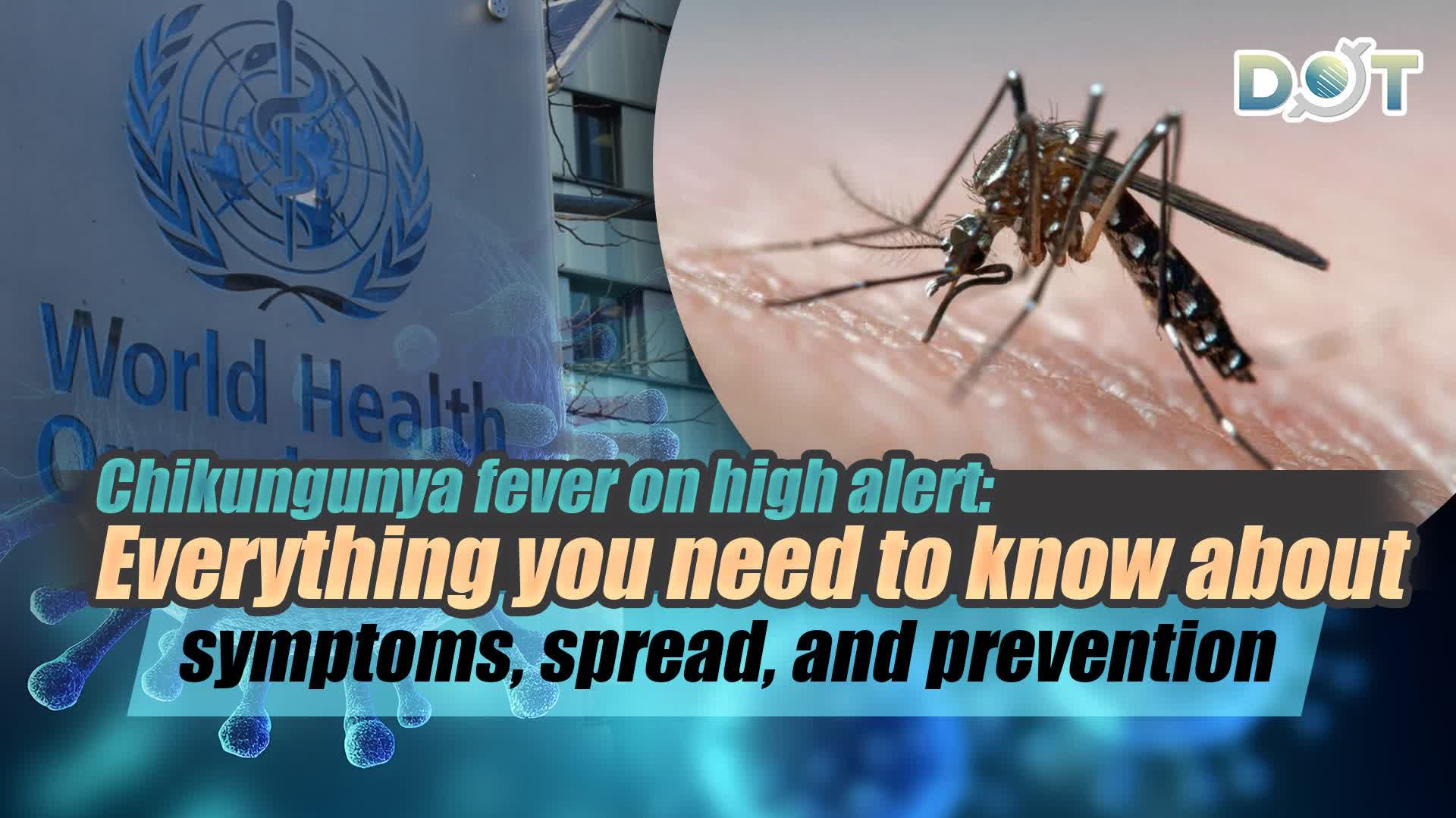 Chikungunya fever on high alert: Everything you need to know about symptoms, spread, and prevention