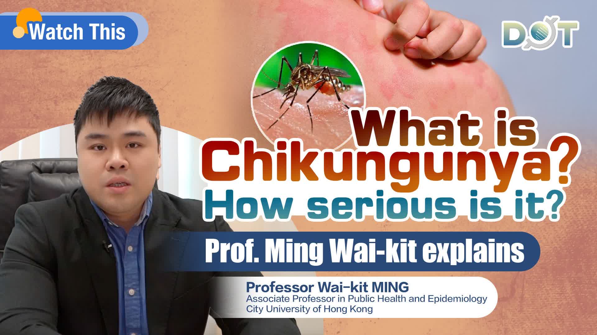 Watch This | What is Chikungunya? How serious is it? Prof. Ming Wai-kit explains