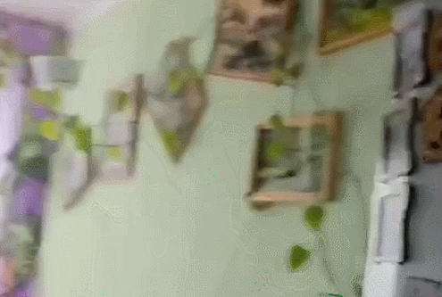 （有片）俄強震現異常「衝撞式」震感　科學家：餘震將持續至少一個月