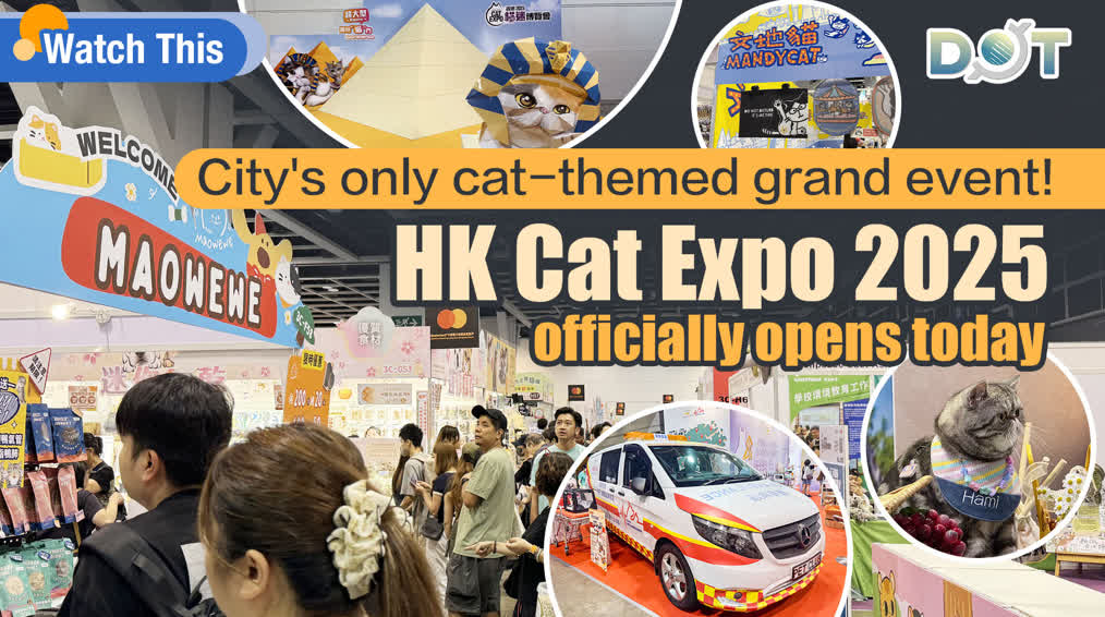 Watch This | City's only cat-themed grand event! HK Cat Expo 2025 officially opens today