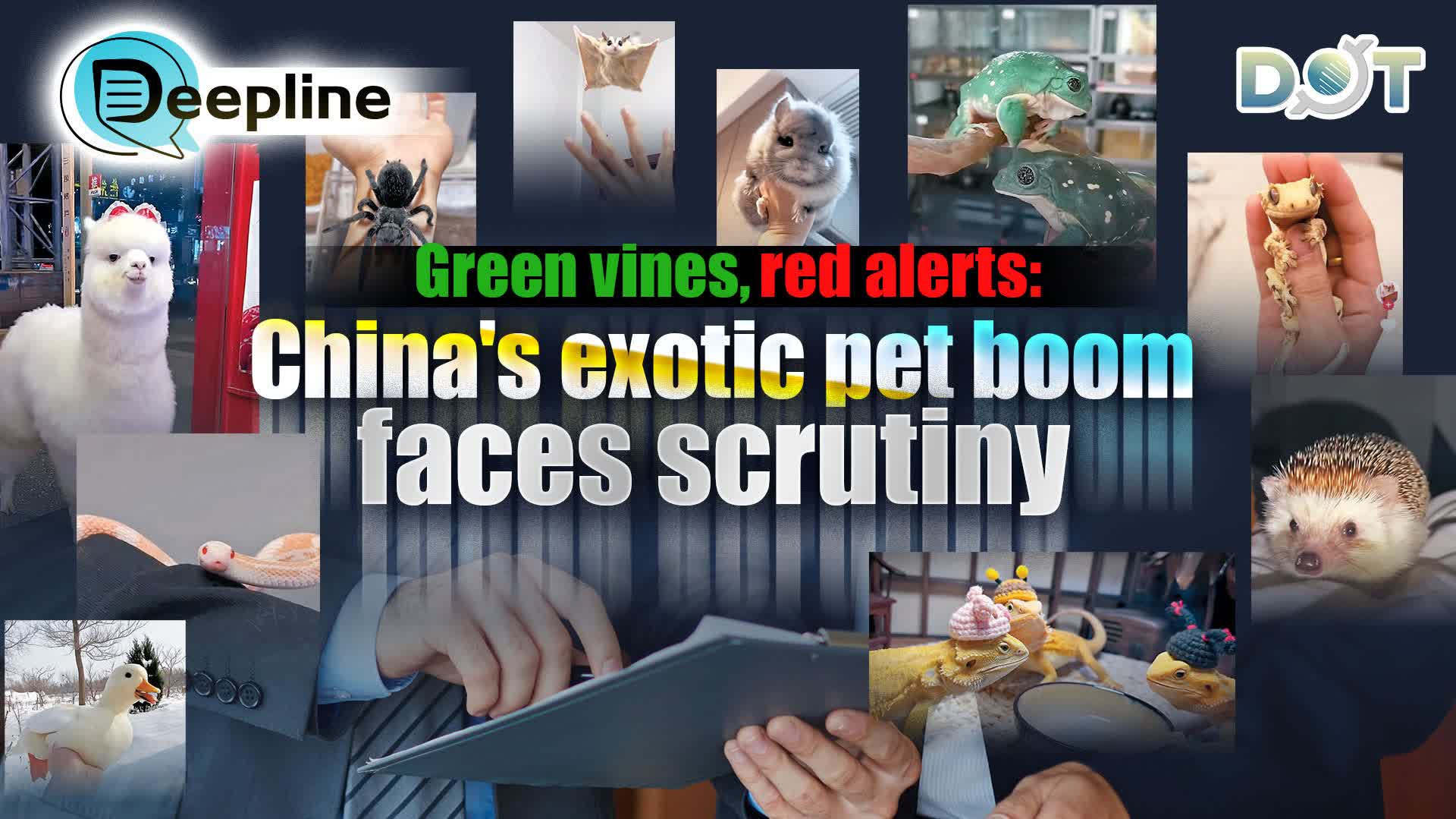 Deepline | Green vines, red alerts: China's exotic pet boom faces scrutiny