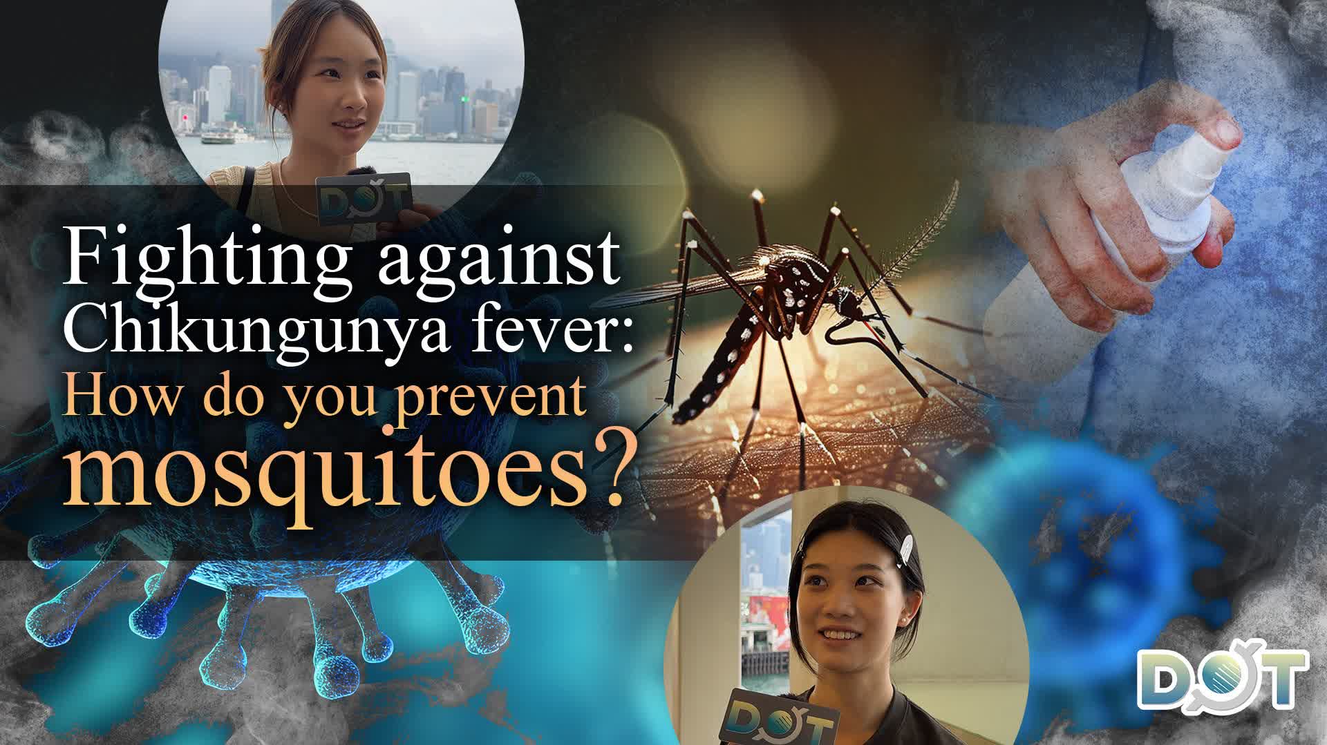 Watch This | Fighting against Chikungunya fever: How do you prevent mosquitoes?