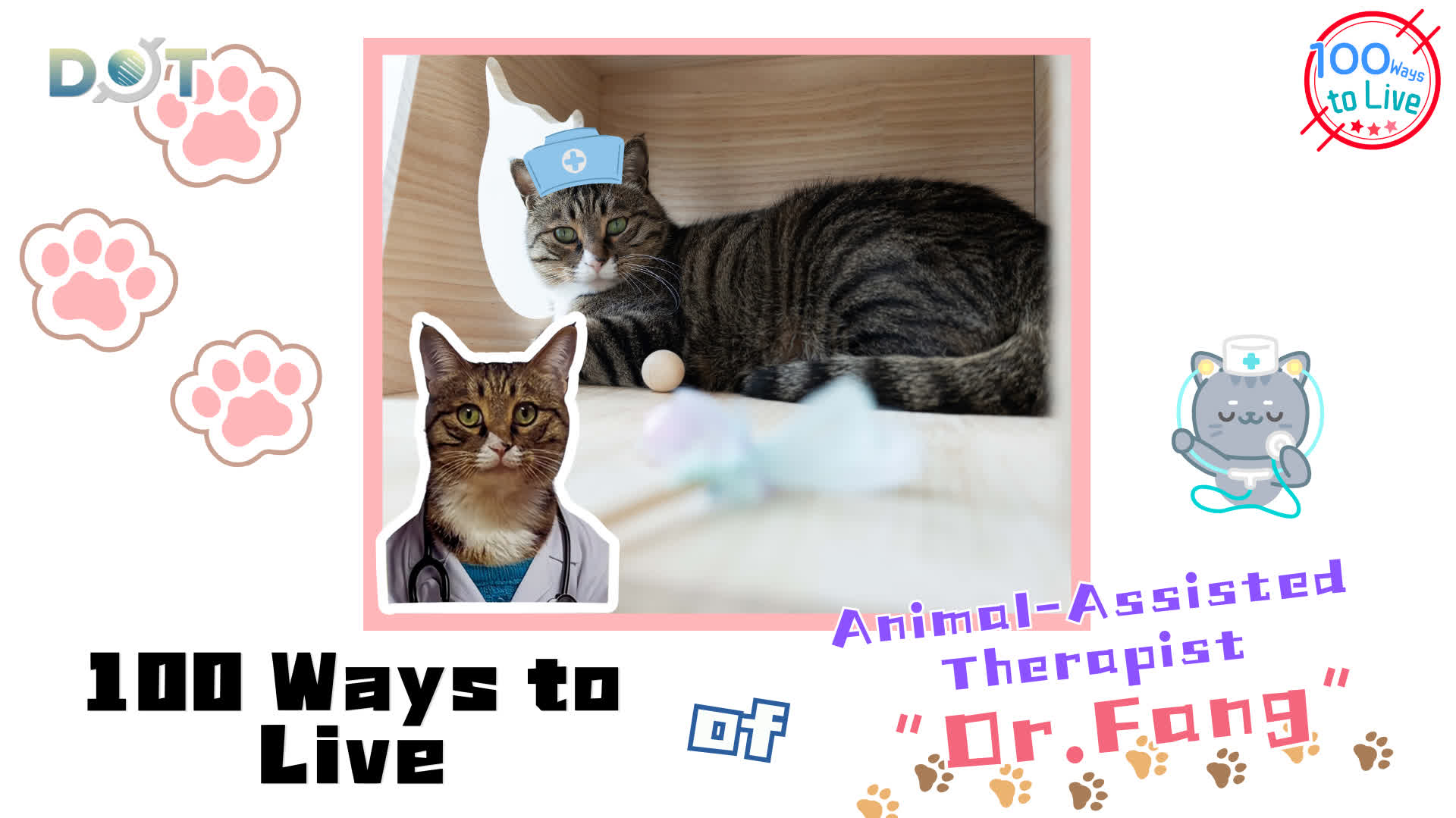 100 Ways To Live | Heartwarming cat doctor: Healing young minds with gentle companionship