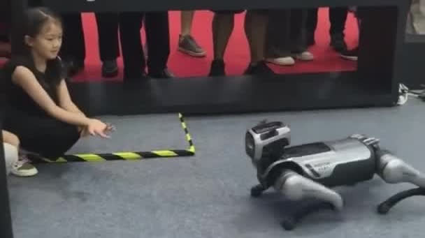 Watch This | Mind-blowing robots at World Robot Conference