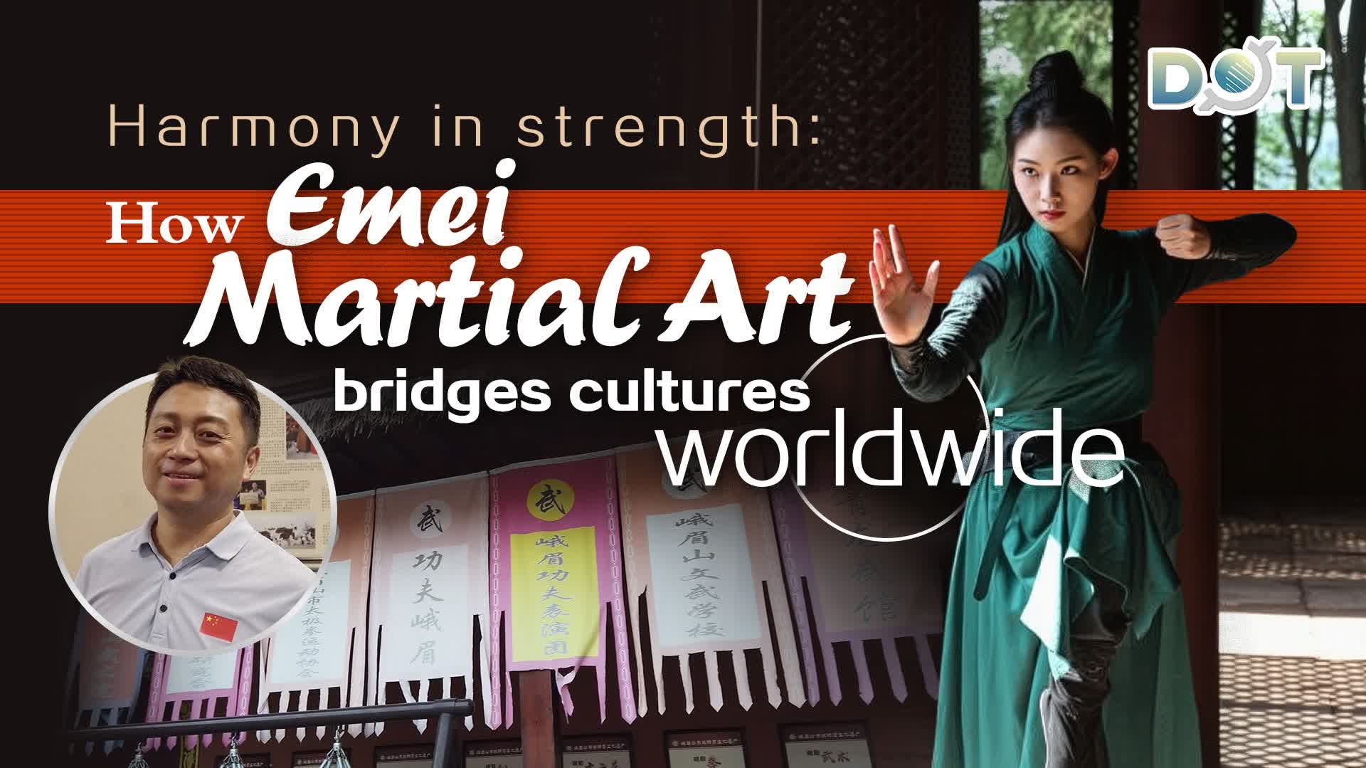 Watch This | Harmony in strength: How Emei Martial Arts bridges cultures worldwide