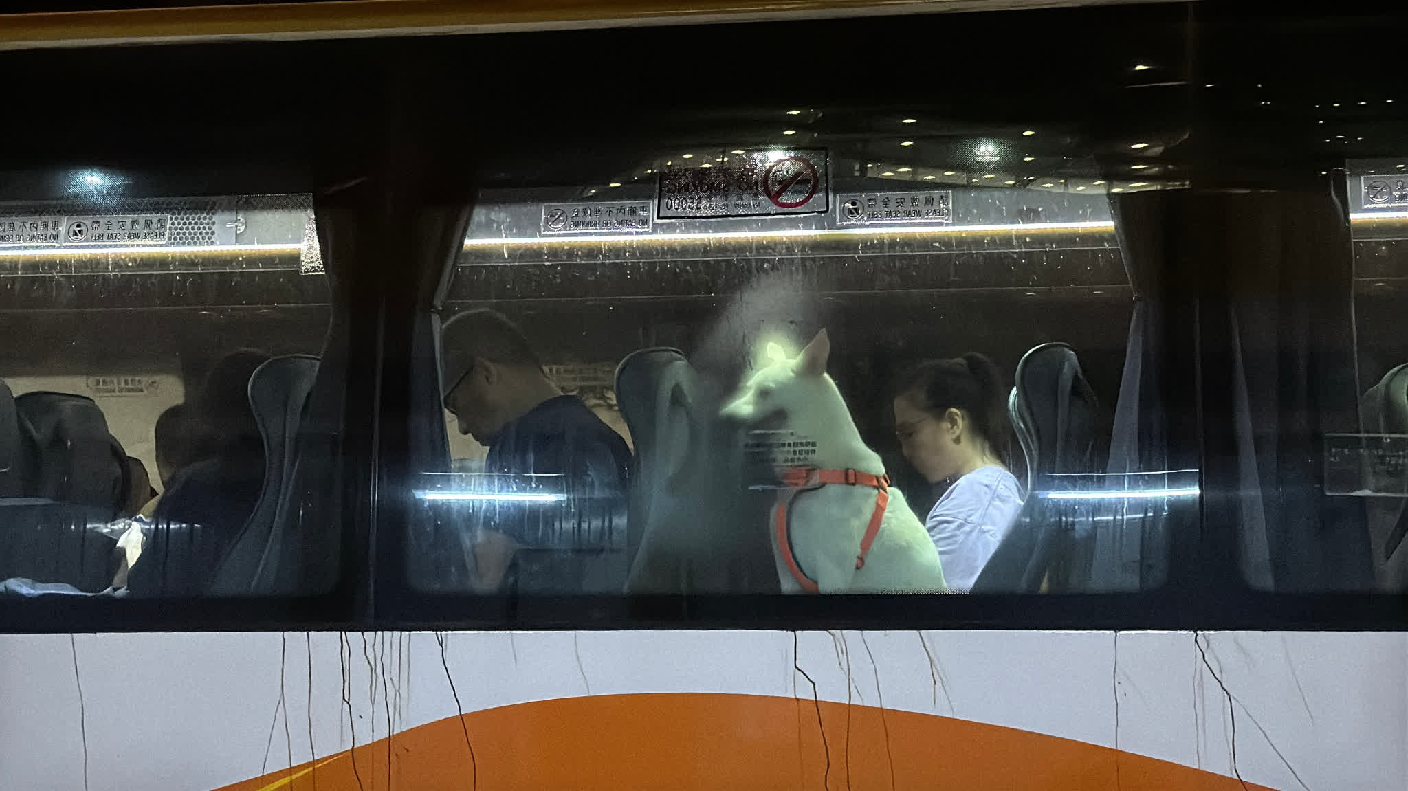 Journalist's Hands-On Experiences | A midnight evacuation of 6,000 people