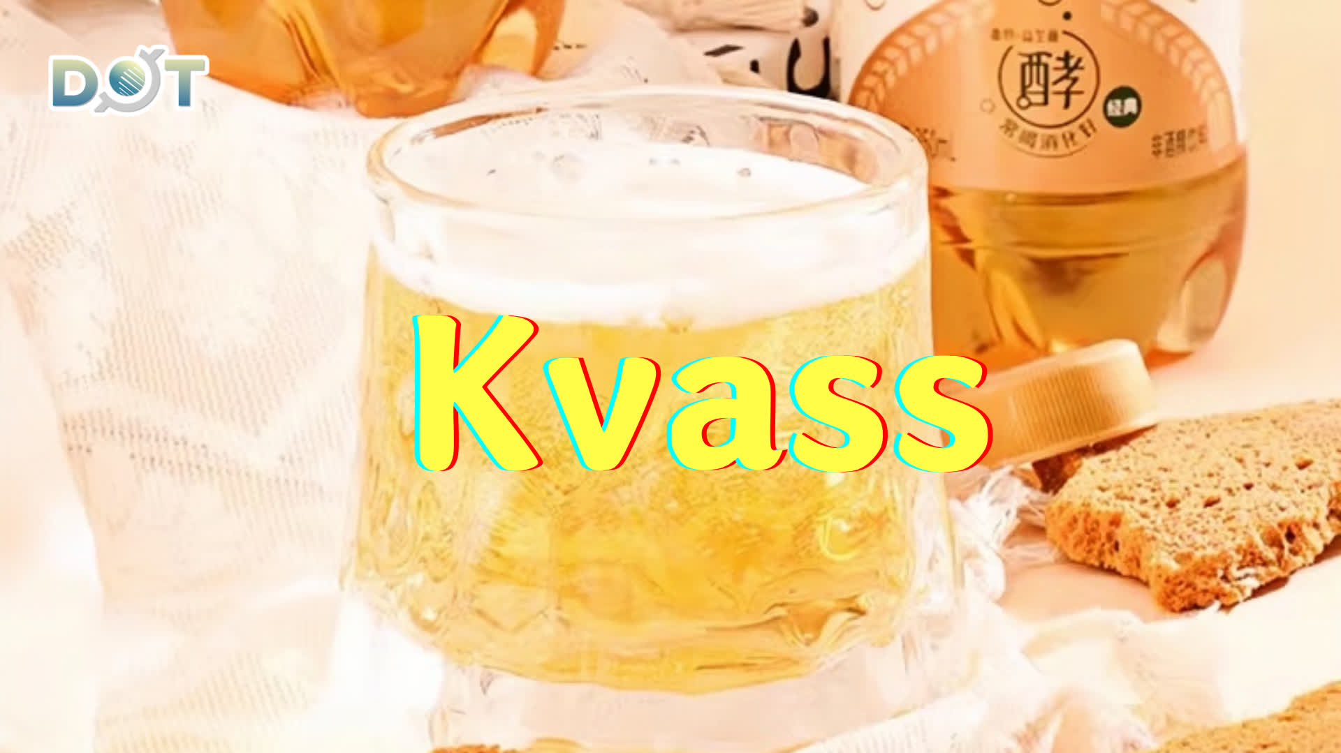 100 Ways To Drool | Century-old intangible heritage: Harbin's 'liquid bread' kvass goes viral
