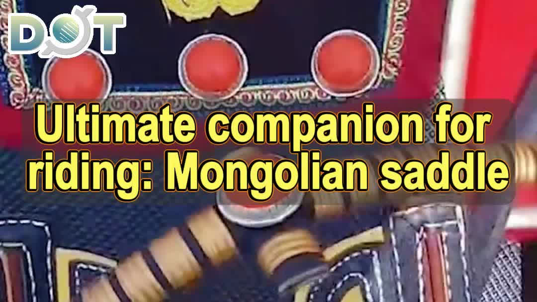 OMG | Ultimate companion for riding: Mongolian saddle