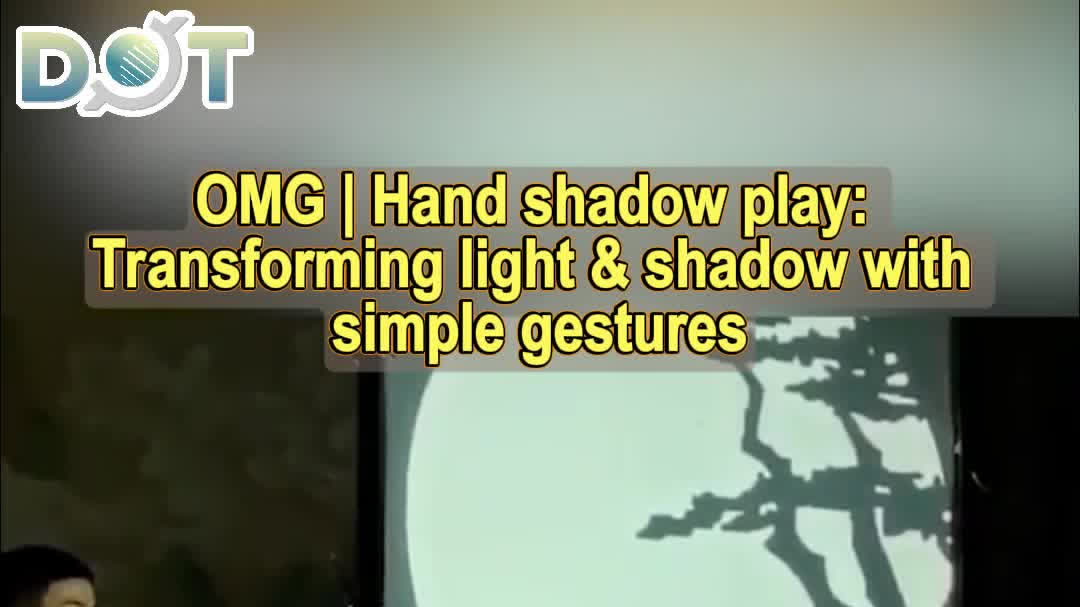 OMG | Hand shadow play: Transforming light & shadow with simple gestures