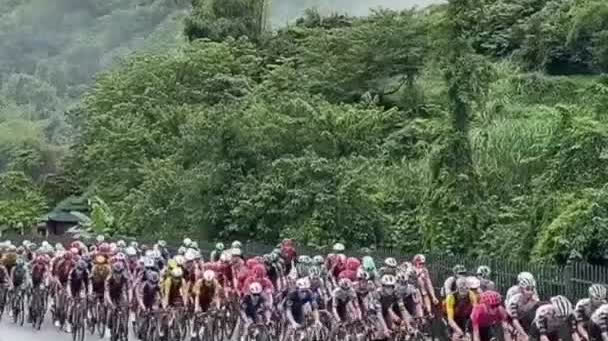 Watch This | Cyclists race through picturesque landscapes in China's Guangxi