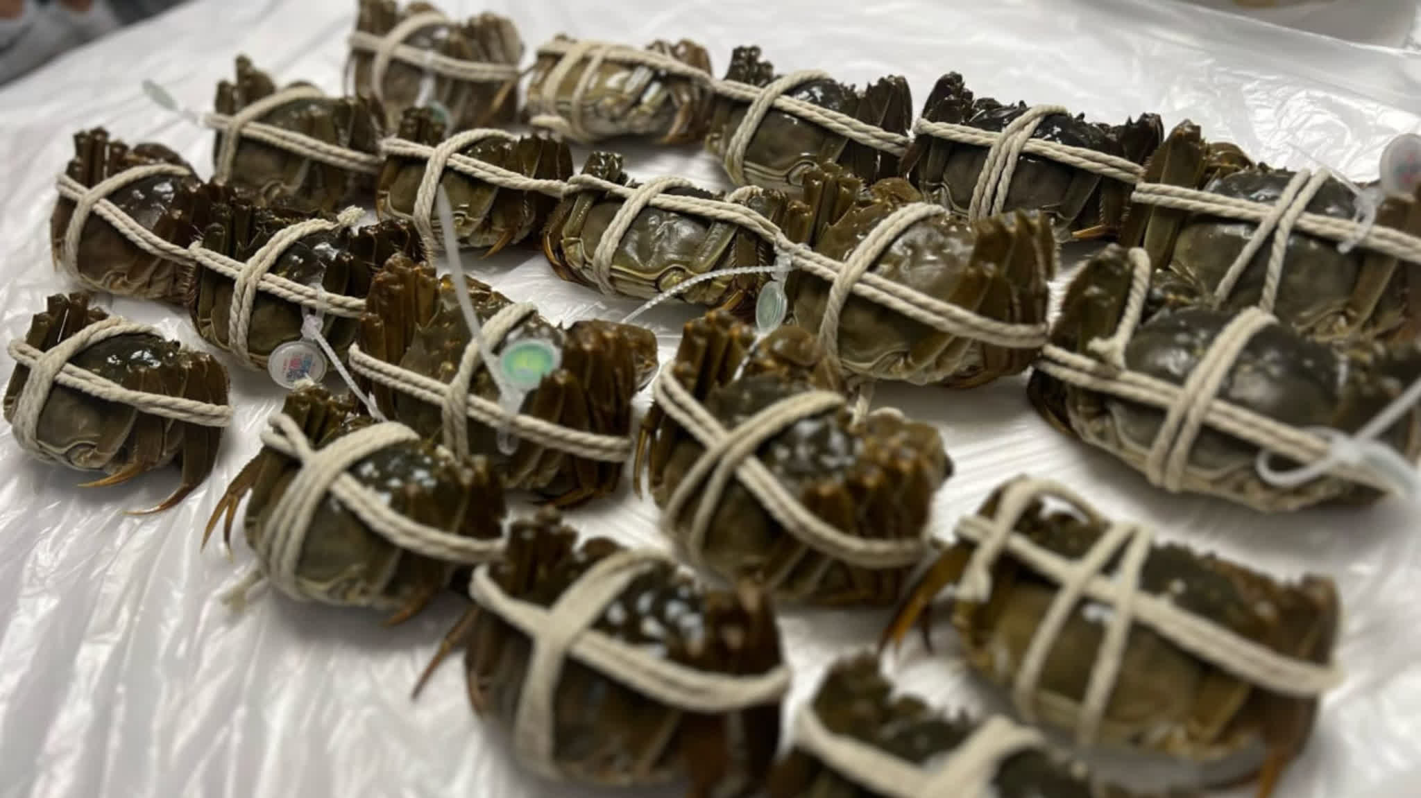 Mong Kok crab shop robbed just 19 days after opening: Approximately HK$8,000 worth of crabs and cash stolen