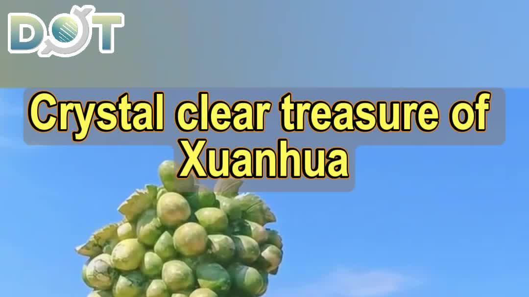 OMG | Crystal clear treasure of Xuanhua