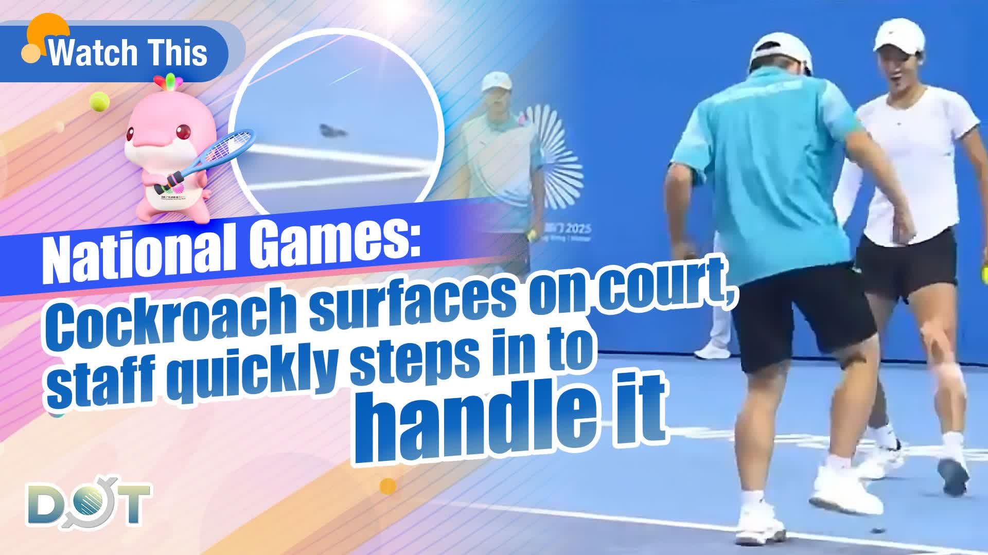 Watch This | National Games: Cockroach surfaces on court, staff quickly ...