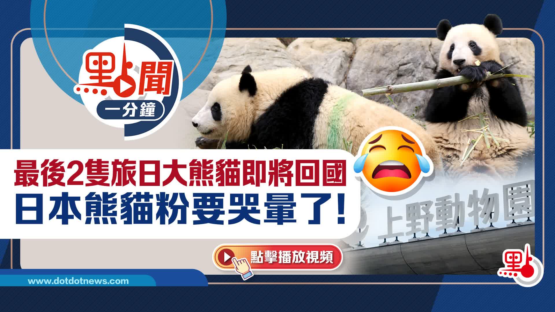 點聞1分鐘｜最後2隻旅日大熊貓即將回國日本熊貓粉要哭暈了！🐼 - 點聞1