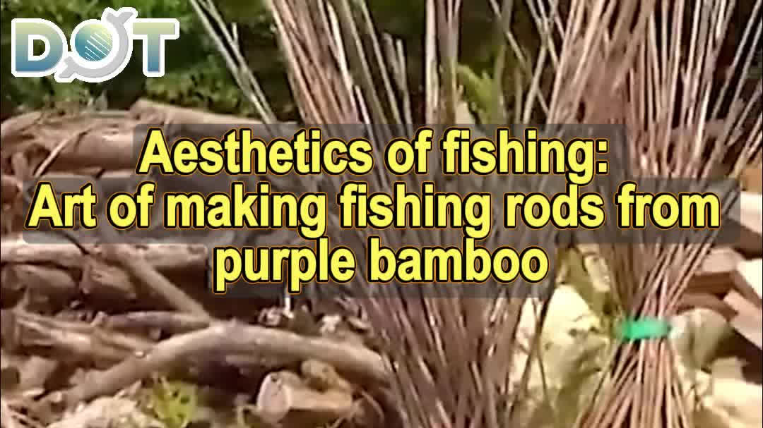 OMG | Aesthetics of fishing: Art of making fishing rods from purple bamboo