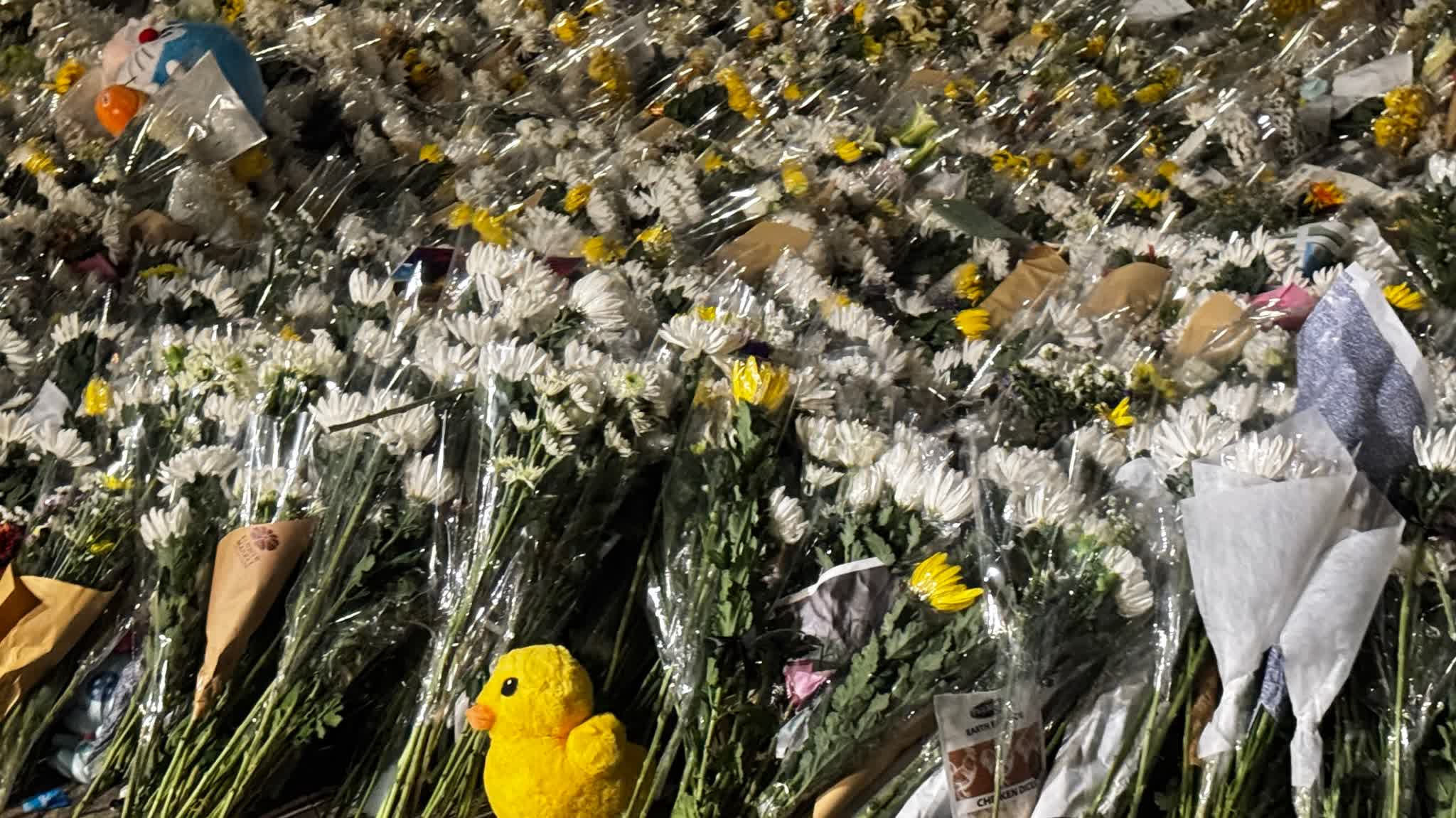 (Photos) Memorial night for Wang Fuk Court fire victims: Relatives of missing seek assistance onsite