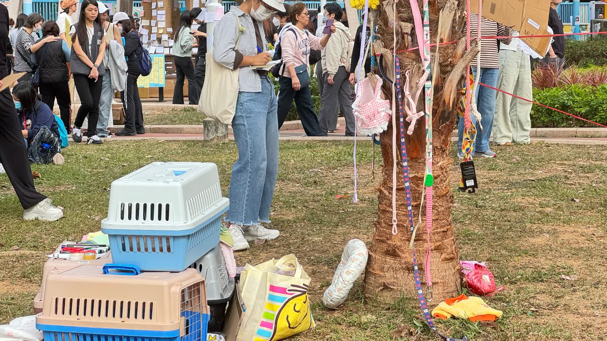 Wang Fuk Court No. 5 fire | Fire leaves over 537 animals affected, 294 rescued alive: SPCA