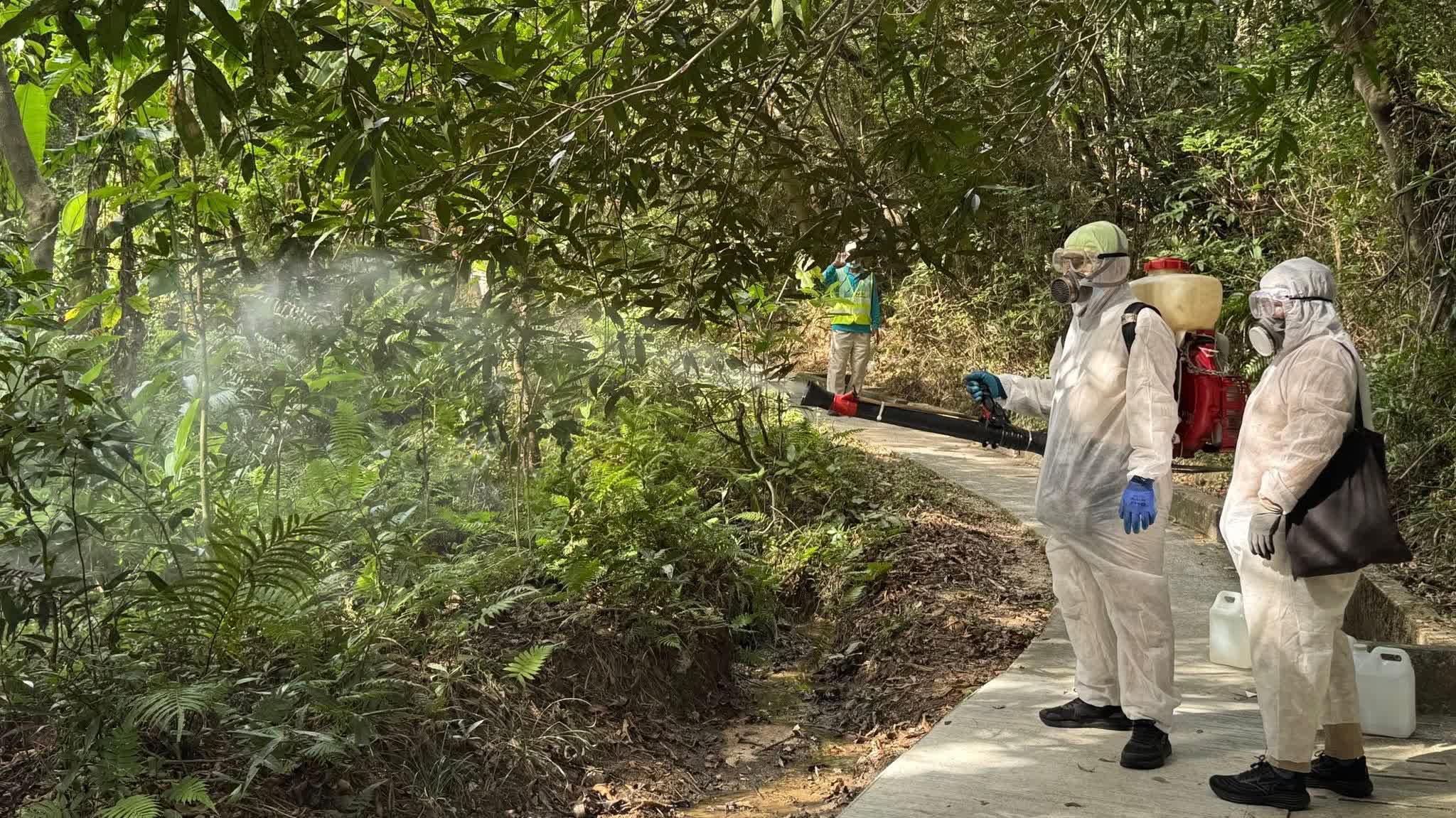 DH advises public to avoid visiting Tsing Yi Nature Trails to reduce risk of contracting chikungunya fever