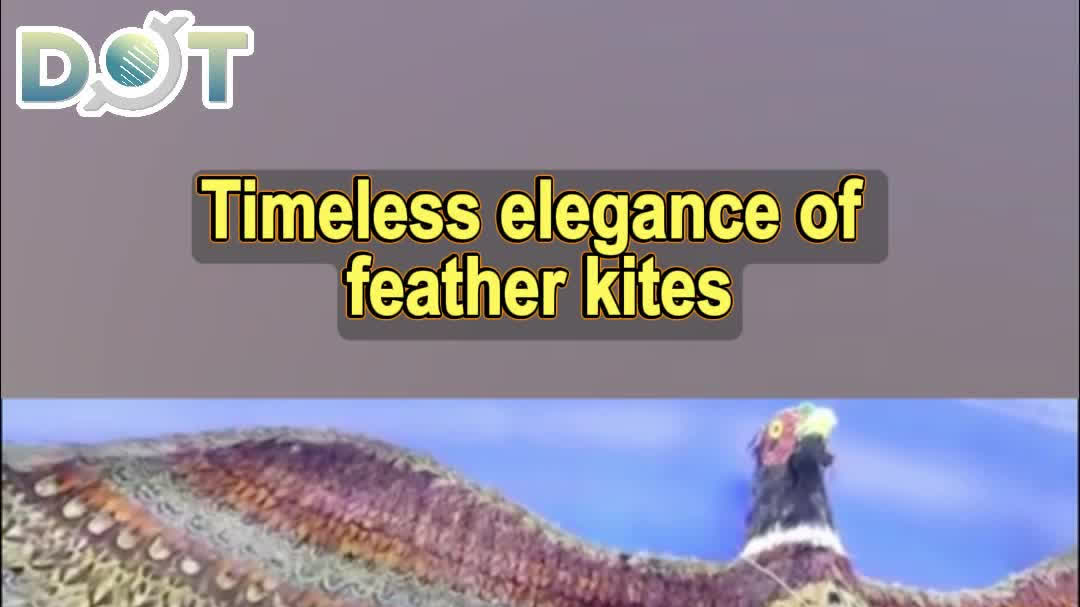 OMG | Timeless elegance of feather kites