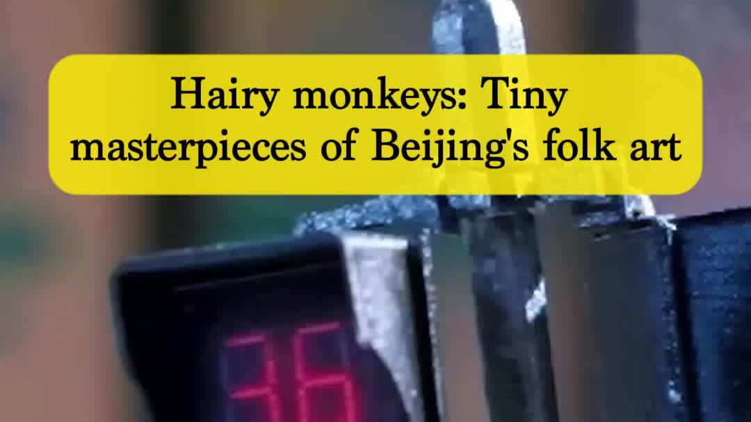 OMG | Hairy monkeys: Tiny masterpieces of Beijing's folk art