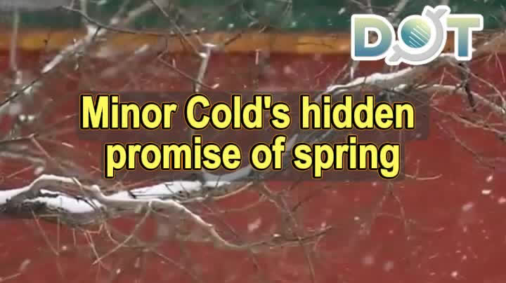 OMG | Minor Cold's hidden promise of spring