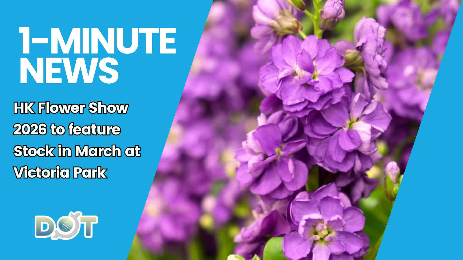 1-minute News | HK Flower Show 2026 to feature Stock in March at Victoria Park