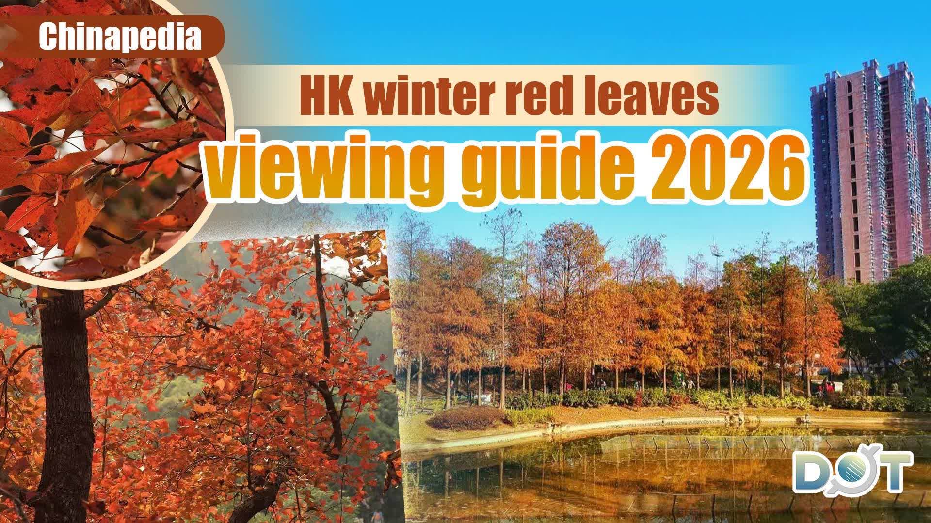 Chinapedia | HK winter red leaves viewing guide 2026