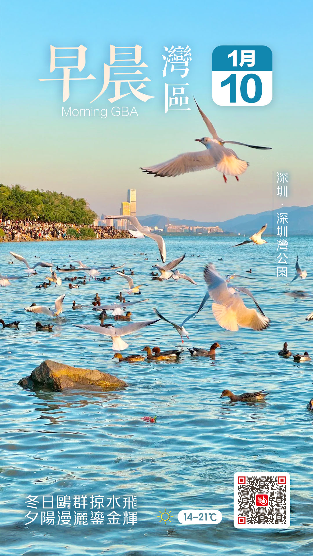 發現灣區｜冬日鷗浪