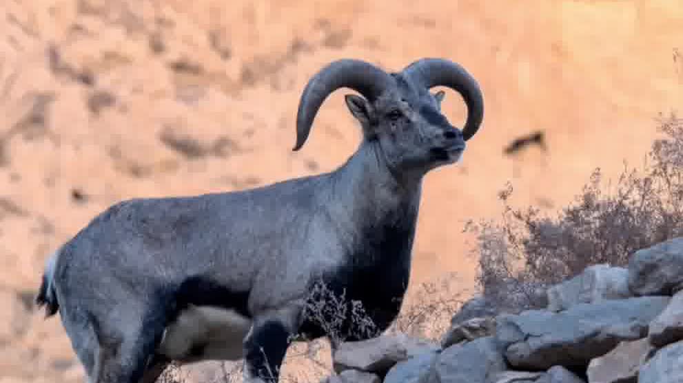 Watch This | Otog's aerial ballet: cliffside dancers defying gravity