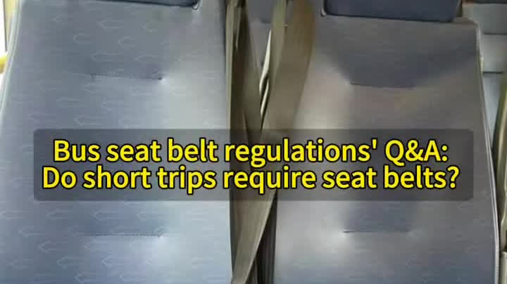 Watch This | Bus seat belt regulations' Q&A: Do short trips require seat belts?
