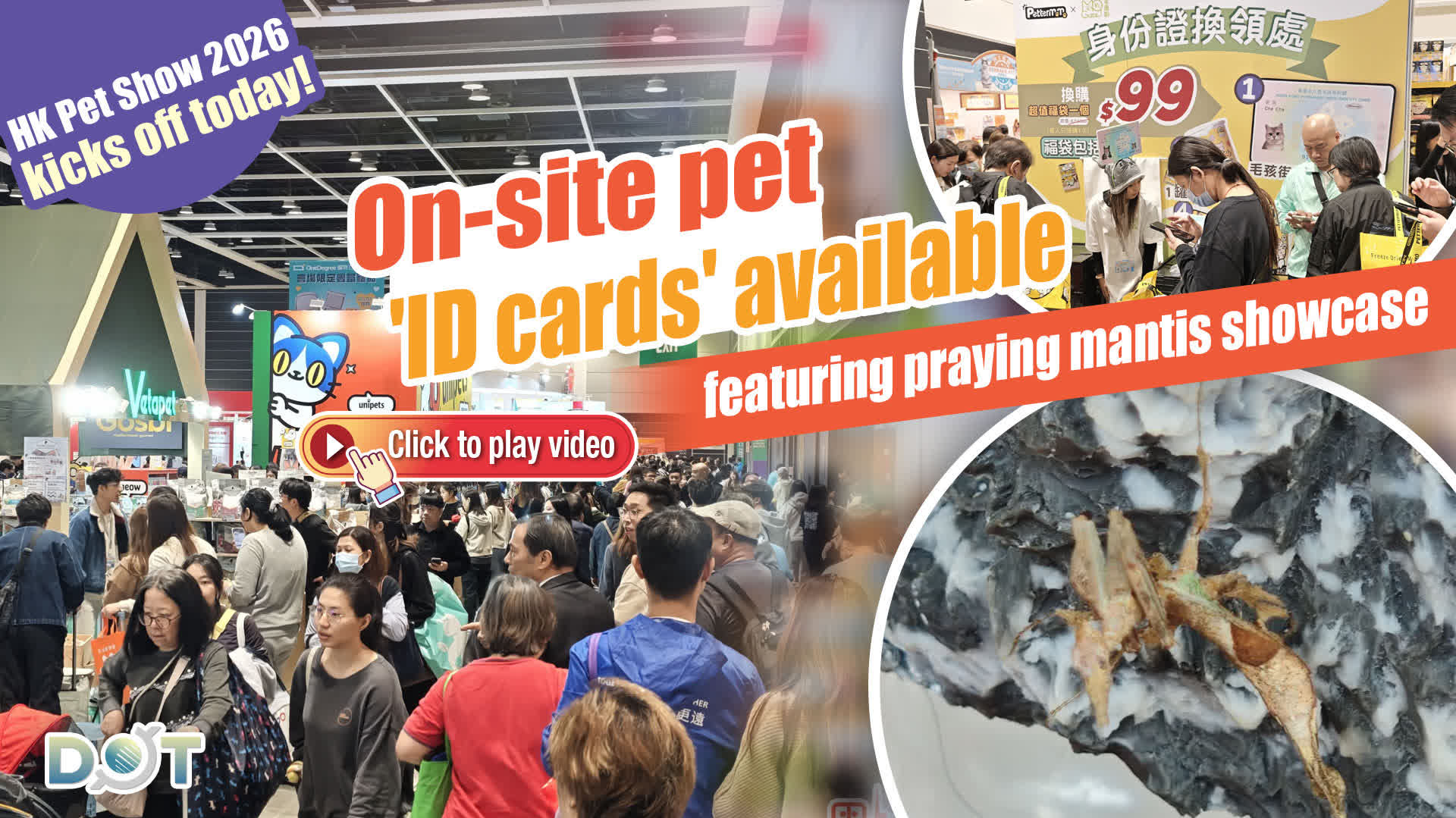 Watch This | HK Pet Show 2026 kicks off today! On-site pet 'ID cards' available, featuring praying mantis showcase