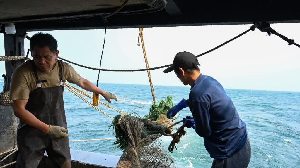 Photos | Daily life of crew members in Maoming, Guangdong